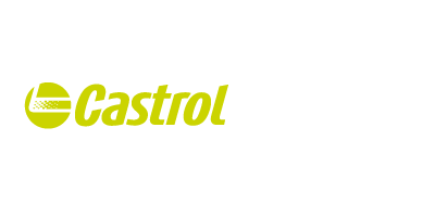 Castrol Molicote
